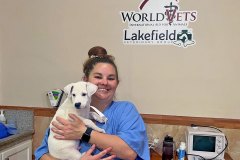 Smiling Volunteer Veterinary Assistant with a Puppy before Surgery – World Vets Galápagos