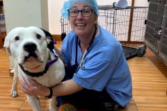 Dr. Carissa Rindal with a Handsome Dog before Surgery – World Vets Galápagos