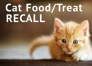 cat-food-recall