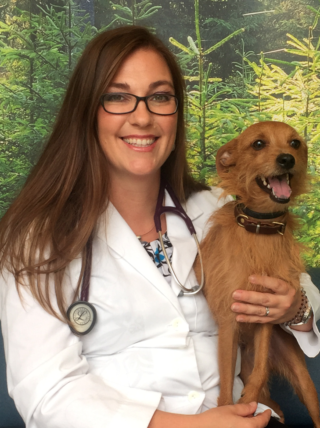 About Us - Dr. Bonnie Abbott - Vista Animal Hospital Erie - Lafayette, CO