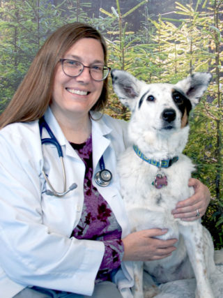 About Us - Dr. Bonnie Abbott - Vista Animal Hospital Erie - Lafayette, CO