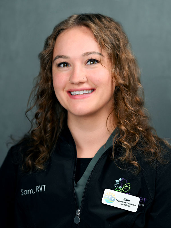 Sam Vista Animal Hospital
